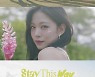 "완벽한 탈출"..프로미스나인과 떠나는 즉흥여행 'Stay This Way' [6시★살롱]