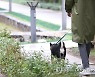 '반려견 정보 등록하세요'