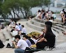 청주 이틀 연속 잠 못 이룬 밤..충북서 가장 이른 열대야