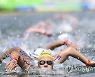 epaselect HUNGARY FINA WORLD AQUATICS CHAMPIONSHIPS