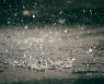 '우산 우습다' 밤~아침 사이 300mm 폭우·강풍