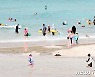 [오늘의 날씨] 제주(28일, 화)..낮 최고 33도, 산지·남부 비