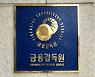 금감원, '가상자산시장 리스크 협의회' 첫발..소비자 보호 목표