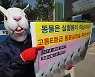 지난해 동물실험 488만마리 역대 최다.. 고통 등급도 높았다