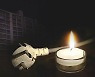 강풍에 고사목 쓰러져..서초구 내곡동 일대 한때 정전
