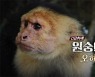 [PD수첩] 신종감염병 확산 중심에 선 성소수자들, 원숭이두창에 대한 오해와 진실