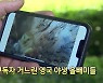 [톡톡 지구촌] 50만 명 구독자 거느린 영국 야생 올빼미들