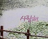 [포토친구] 뜨거운 여름 앞에서