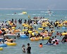 '경포 비치비어' '속초 썸머페스티벌'.. 동해안 해수욕장서 신나는 여름을