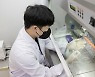 삼성전자 '에코라이프랩', TUV 라인란드 바이러스 시험소 인증