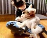 "잘 키울게요"..김고은, 버려진 아픈 아이 품은 따뜻하고 예쁜 마음 [★NEWSing]