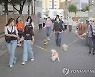 동네 지키는 '서울 반려견 순찰대' 하반기 5개 자치구로 확대