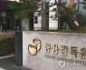 금감원, 매출 부풀리기 등 작년 감리 지적사례 15건 공개