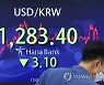 환율 소폭 하락