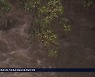 [충북·세종 날씨] 내일도 흐리고 비..30 ~ 최고 150mm 이상