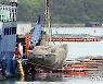[속보] 완도 앞바다서 인양 유나양 가족 차량서 시신 3구 발견