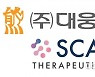 대웅제약, 피부에 바르는 '경피흡수제형' 치료제 개발 추진.. 스카이테라퓨틱스와 업무협약