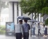 "비싸도 살수밖에" 장마에 편의점 우산 매출 161%↑