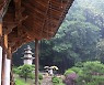 산사에서.. 서원에서.. 세상 잡념 씻어내는 낙숫물 소리 [자박자박 소읍탐방]