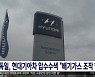 독일, 현대기아차 압수수색 "배기가스 조작 혐의"