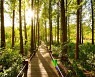 경기도립 물향기수목원, 여름방학 맞이 숲 체험 가족 프로그램 운영