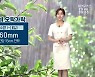 [날씨] 부산 오늘도 오락가락 비..시간당 15mm 안팎