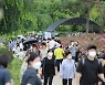 공주시, 이 집 수국 잘하네..6만명 홀린 '사진 맛집'