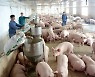 Feed prices to increase in July