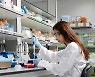 GC Cell to develop new lymphoma drug with fewer side effects