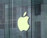 "애플, 내년에도 아이폰에 퀄컴 칩 사용..자체 개발 실패"