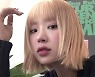 최준희, 금발 변신하니 걸그룹 느낌[리포트:컷]