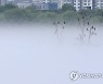 짙은 물안개 핀 소양강