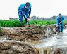 장마 피해 막기 위해 물길 내는 북한 농업 근로자