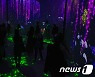 '연등회:빛과 색의 향연' 등나무 숲 거니는 관람객들
