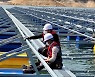 '2022 국제그린에너지엑스포' 비에스텍, 수상태양광 전기공사 연이어 수주