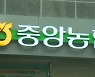 농협 횡령 또 적발..'고객 몰래 20억 대출' 30대 직원 체포