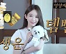 미모는 템빨! 다비치 강민경이 늘 쟁여 두는 영양제 바닥템은?
