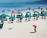 '개장 준비 완료, 파라솔 펼쳐진 제주 함덕 해수욕장'