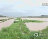 '논밭 고인물 제때 빼라' 北, 폭우따른 농작물 보호대책 총력