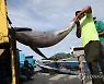 INDONESIA ECONOMY FISHERIES