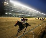 3년 만에 돌아온 '여름밤의 축제', 야간경마 시행