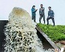 논밭에 고인 빗물 빼는 북한 농업 근로자들