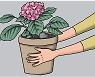 아픈 마음에는 노동과 사랑을[관계의 재발견/고수리]