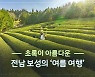 초록이 아름다운 전남 보성의 '여름 여행'
