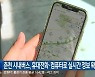 춘천 시내버스, 휴대전화·컴퓨터로 실시간 정보 확인