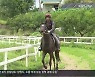 [영상] 3번 우승 '삼관마' 명마 훈련장
