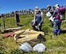 [픽! 제주] 한라산 백록담 환경정비..음료수병·비닐 한가득