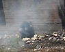 MIDEAST ISRAEL PALESTINIANS CONFLICT