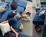'션♥' 정혜영, 으리으리 거실 소파 쿠션 정리에 진땀..쉴 틈 없는 4남매맘