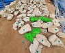 '세계 최대 고인돌 훼손' 김해시 해명도 논란.."손으로만 옮겼다"